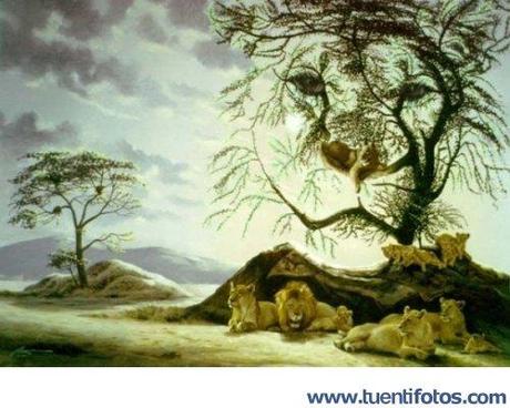 Ilusion Leones Ilusión y Realidad 