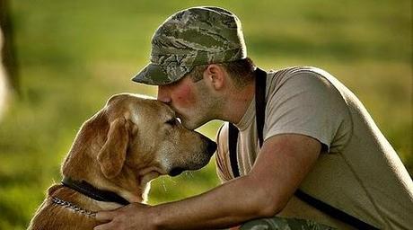 Emocionante Reencuentro De Soldados Y Sus Mascotas Después De La Guerra