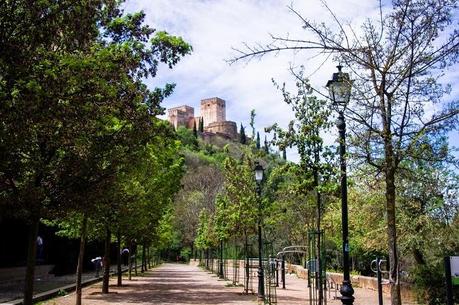 Granada, azul y blanco