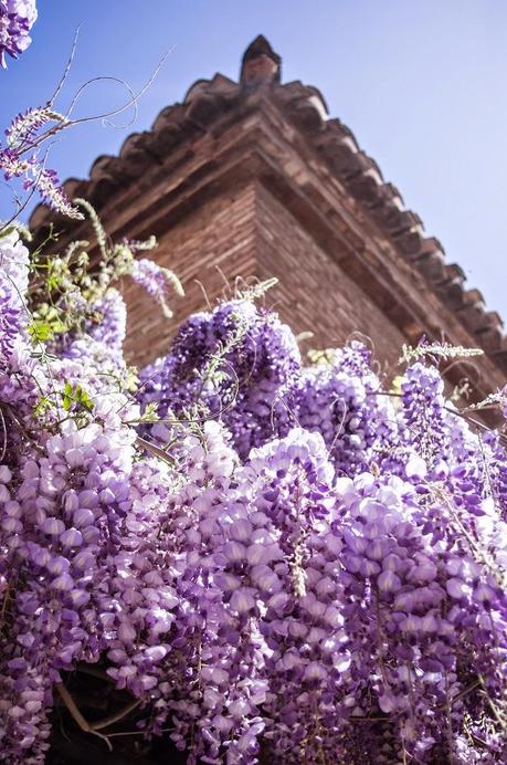 Granada, azul y blanco