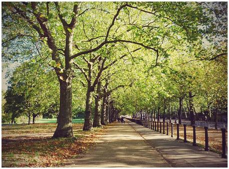 Día 3. El placer de pasear por los parques de Londres, la extravagancia de Camden Town, el arte del British Museum y el lujo de Harrods.