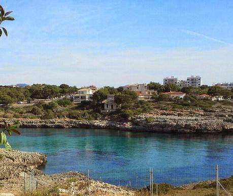 ¡Buenos días domingo!