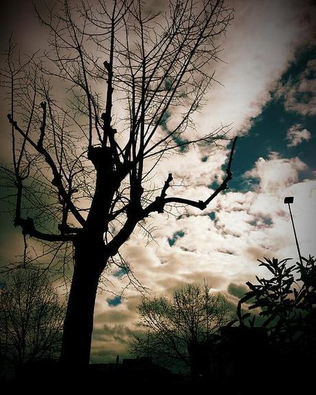 Androidografia Barakaldo 1692