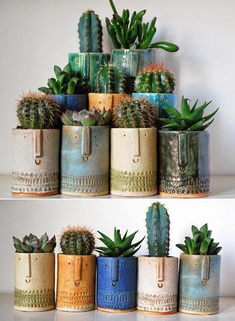 Mini Jardines, un soplo de aire fresco en tu salón