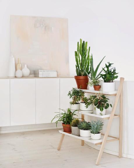 Mini Jardines, un soplo de aire fresco en tu salón