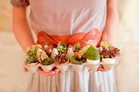 Mini Jardines, un soplo de aire fresco en tu salón