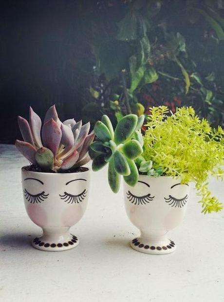 Mini Jardines, un soplo de aire fresco en tu salón