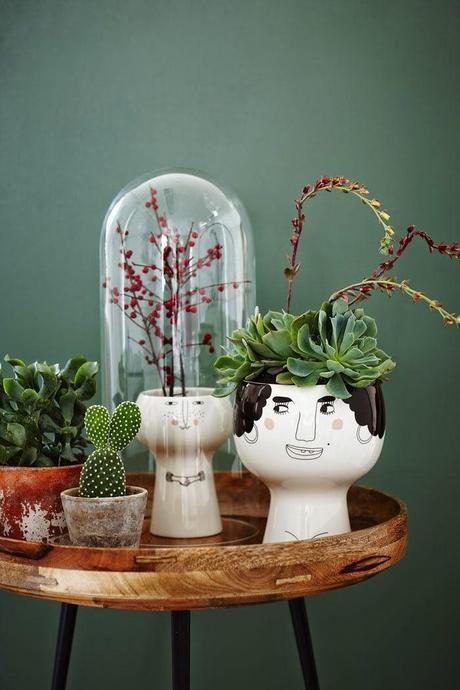 Mini Jardines, un soplo de aire fresco en tu salón