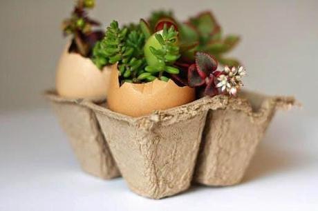Mini Jardines, un soplo de aire fresco en tu salón