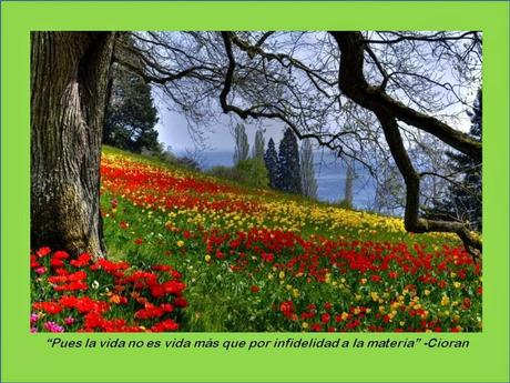 La vida: una impertinencia y un error (desde el punto de vista de la nada)