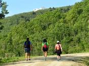 Entrenamiento Trailwalker Tramos marcha Sierra madrileña