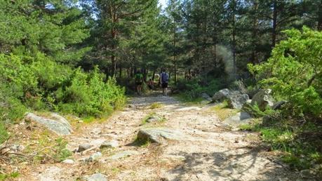 Entrenamiento IO Trailwalker – Tramos 2 y 3 – De marcha por la Sierra madrileña