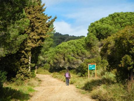 Ruta por la Serralada Litoral. De Cabrils a Granollers por la Roca de les Orenetes