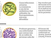 bacterias resistentes antibioticos