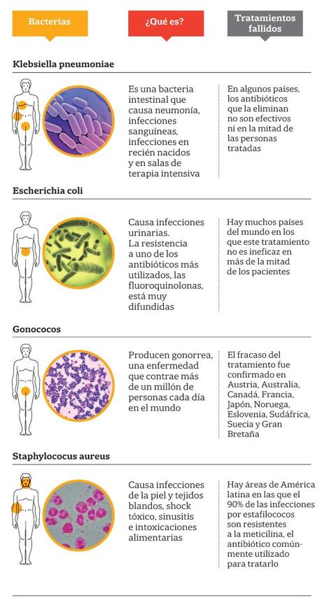 Cuales son las bacterias mas resistentes a los antibioticos segun la OMS.