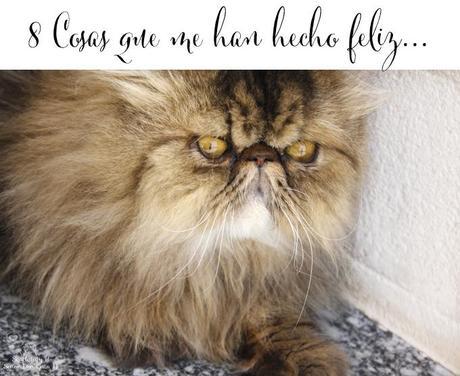 this week im happy for...