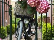 Pasar rutinas negativas positivas