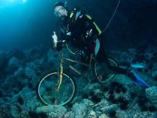 estudio revela gran acumulación basura fondos oceánicos