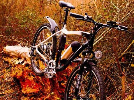 El auge de las bicicletas eléctricas Bicicletas Eléctricas RodArs