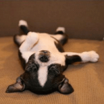 ¿Cómo debe ser una rutina de práctica para cantantes? Dejar descansar la voz no tiene por qué significar que dejas de mejorar