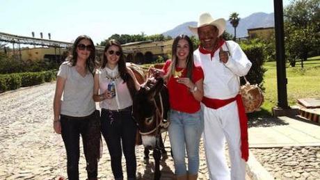 crjimacopy_2b720897_7b9d_feb7_5184_b004e2fb8b17