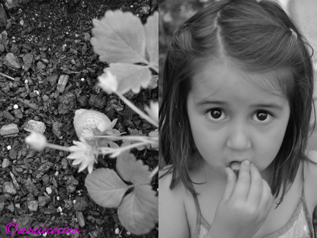 BIZCOCHO DE CHOCOLATE DOS INGREDIENTES (PAOLA CUMPLE 4)