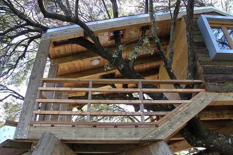 Casa Arbol Rustica y Original