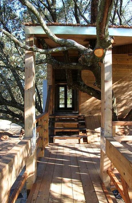 Casa Arbol Rustica y Original