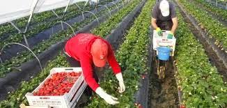 La Música de Tatiana...La Letra Mía