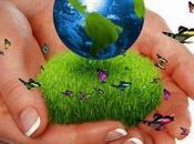 valor económico medio ambiente.