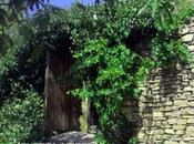 Como vida misma cuento…