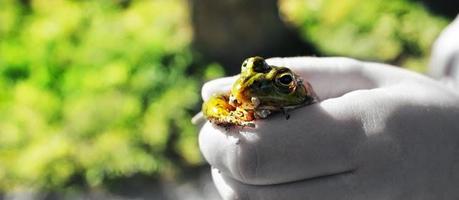 La fiesta perfecta para tu niño