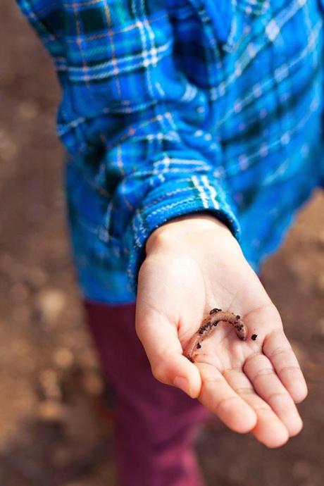 La fiesta perfecta para tu niño