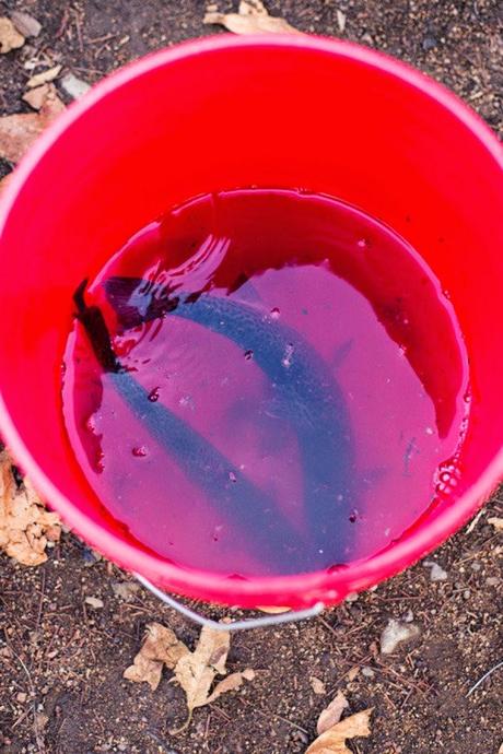 La fiesta perfecta para tu niño