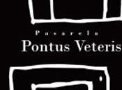 Pasarela Pontus Veteris. Crónica Parte