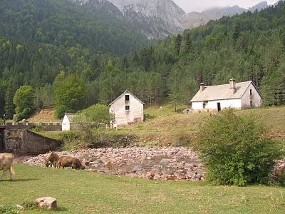 Labordeta, nuestra vida, nuestra memoria: mi homenaje