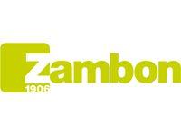 La compañía farmacéutica Zambon cumple 50 años en España