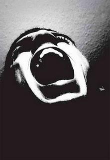 Los berridos del día