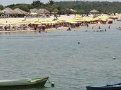 caribe amazónico