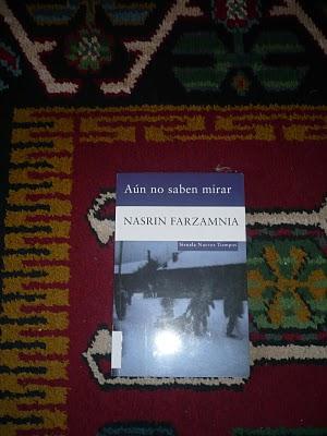 Aún no saben mirar de Nasrin Farzamnia