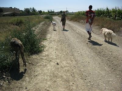 Los galgos somos así y que nadie lo dude!!