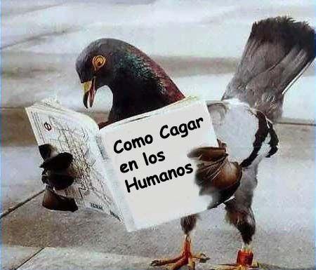 Anécdotas político-festeras