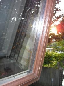 El despertar de Sara