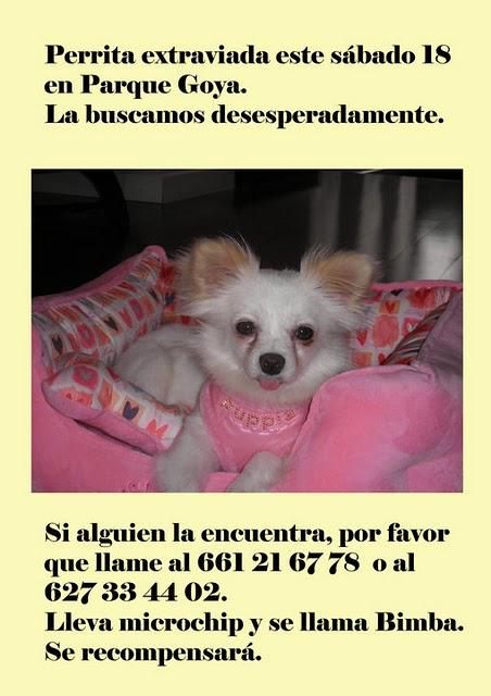 Bimba está perdida, ayuda es demasiado pequeña. (Zaragoza)