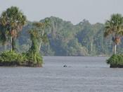 Amazonas desde hamaca