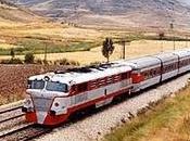 Tren Talgo