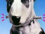Confirmaciones para Frankenweenie