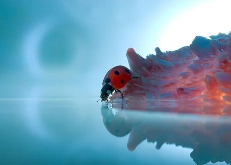 Leon Baas – Macros