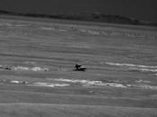 rover Opportunity aproxima posible meteorito