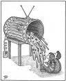 Inconvenientes democracia